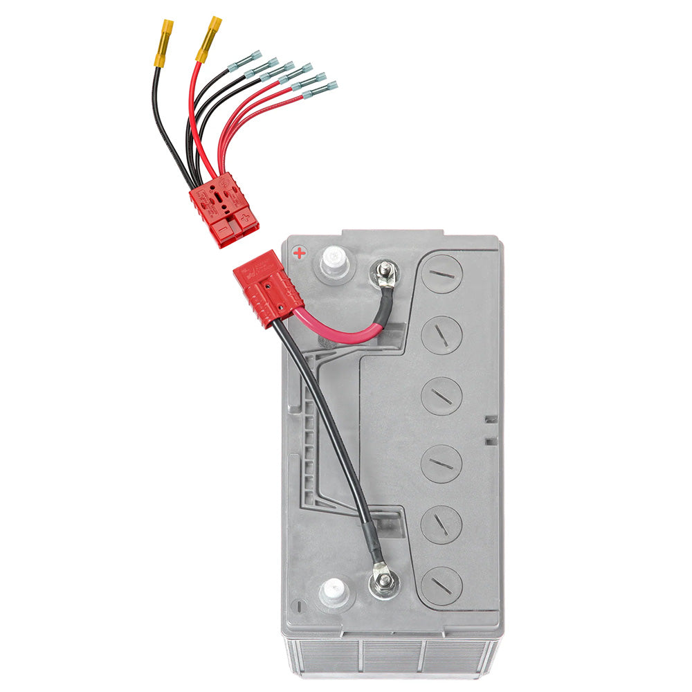 Système multi-connexion sans fusible Connect-Ease 12 V