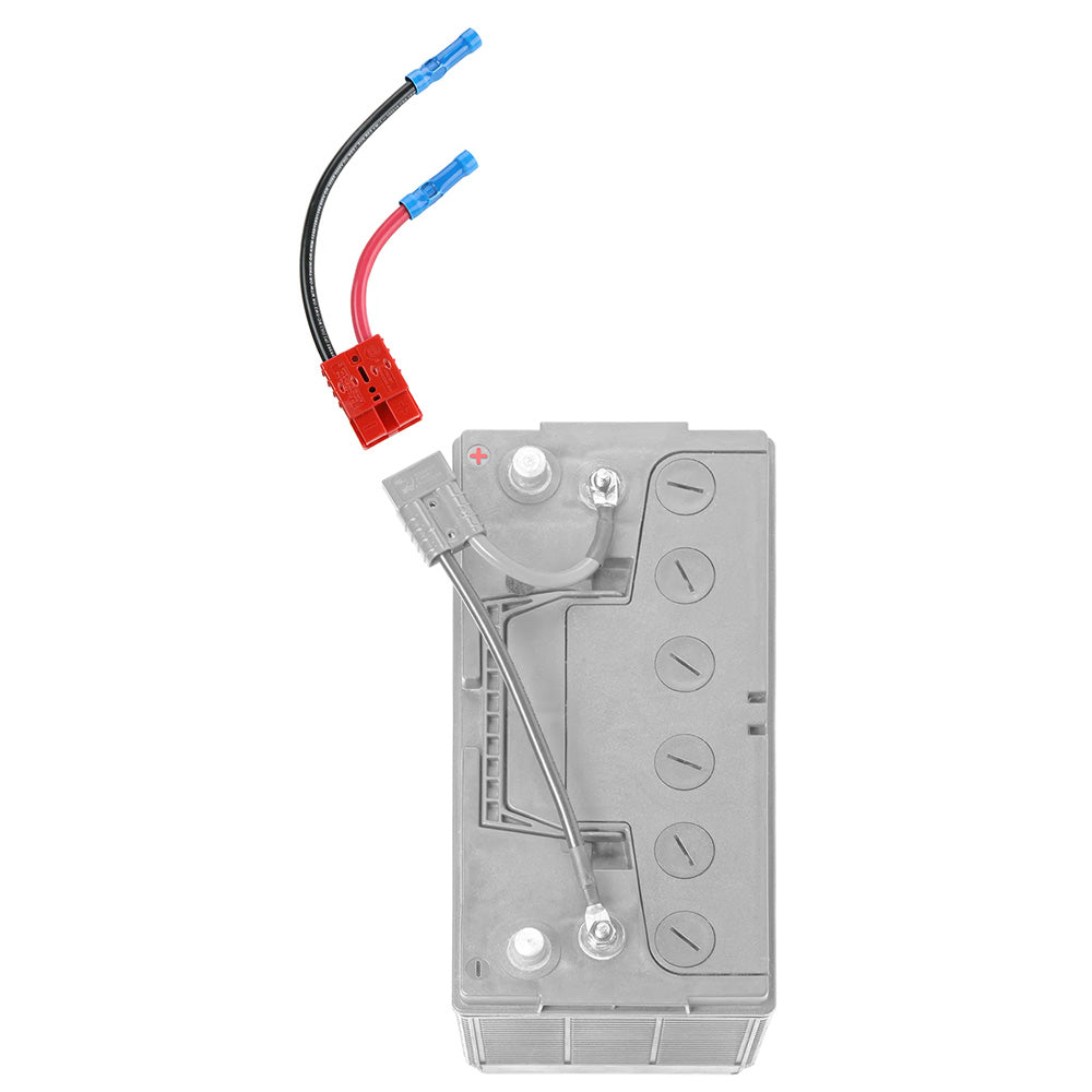 Kit robuste pour batterie simple Connect-Ease 12 V, calibre 6