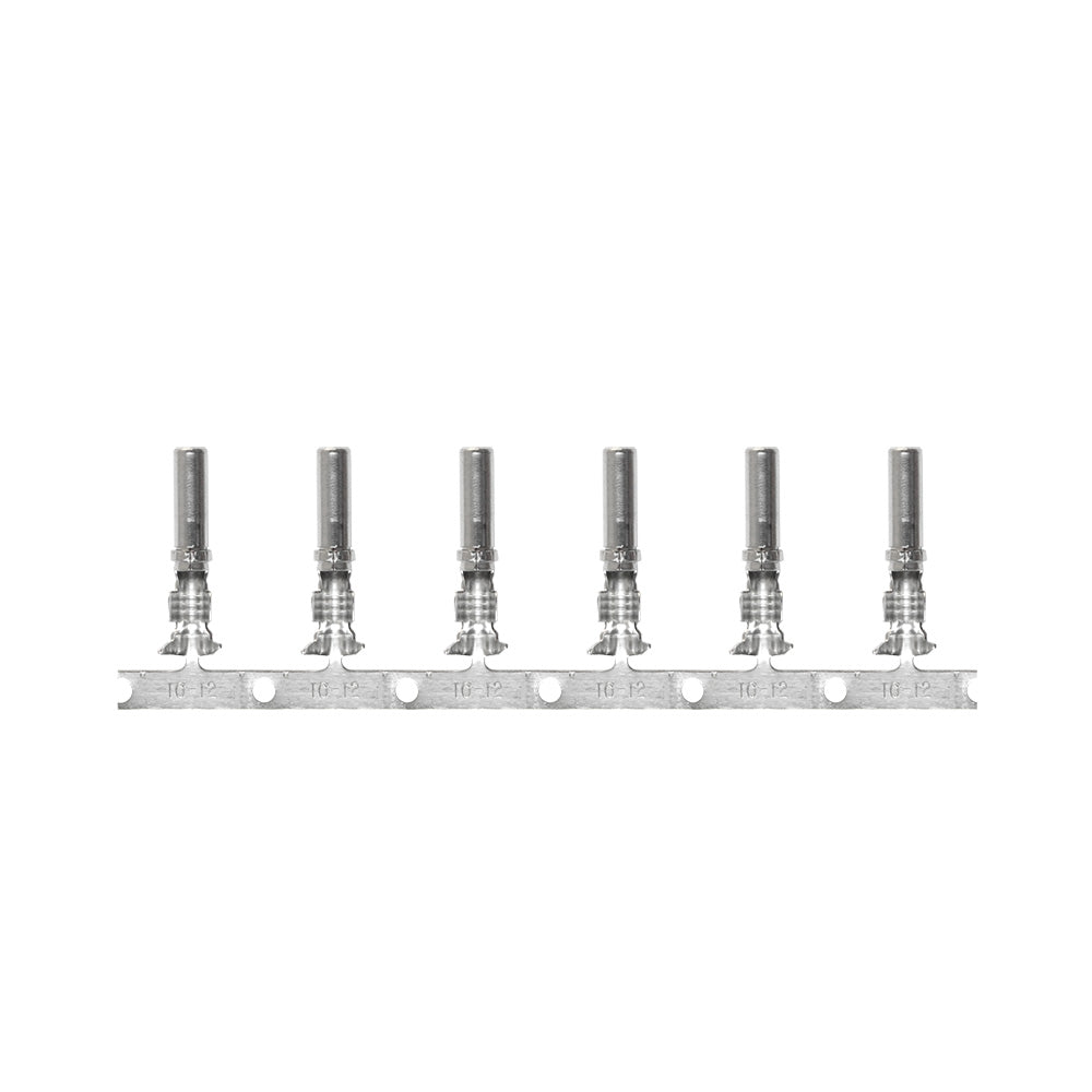 Prise Pacer DTP Deutsch pour fil 10 AWG - Contact taille 12 (paquet de 10)