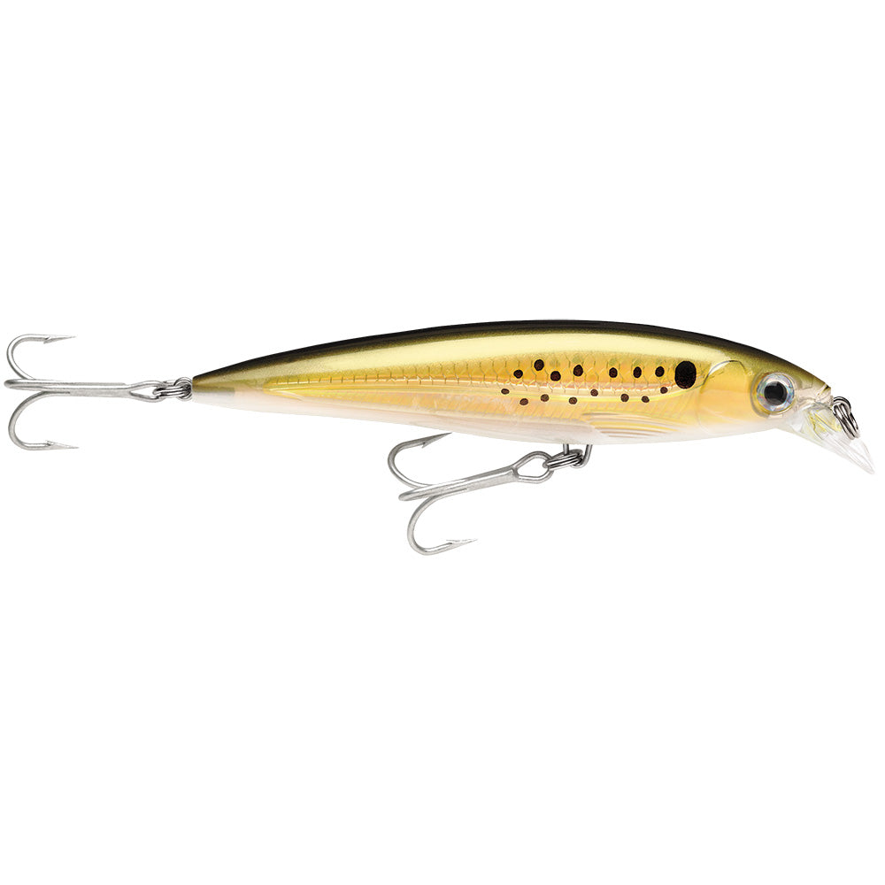Rapala X-Rap Saltwater 4" - Bunker