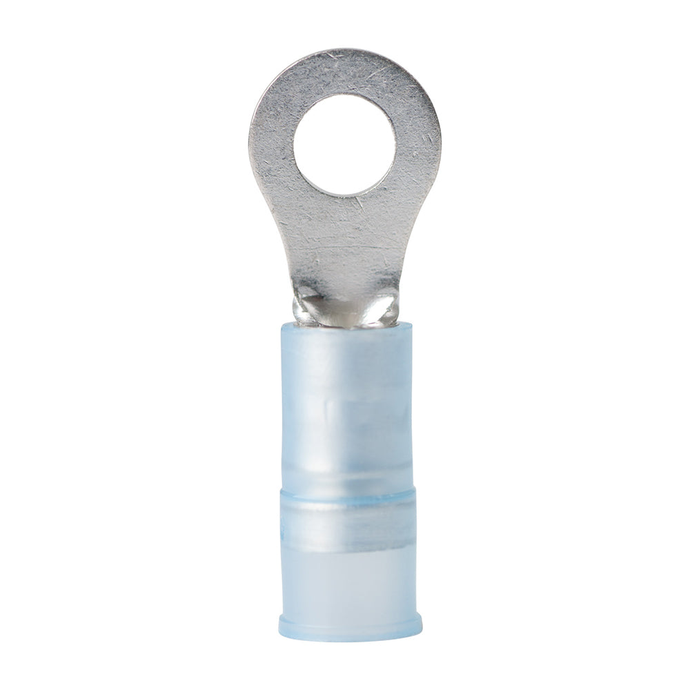 Ancor 16-14 AWG - Cosse à anneau en nylon n° 8 - Paquet de 100