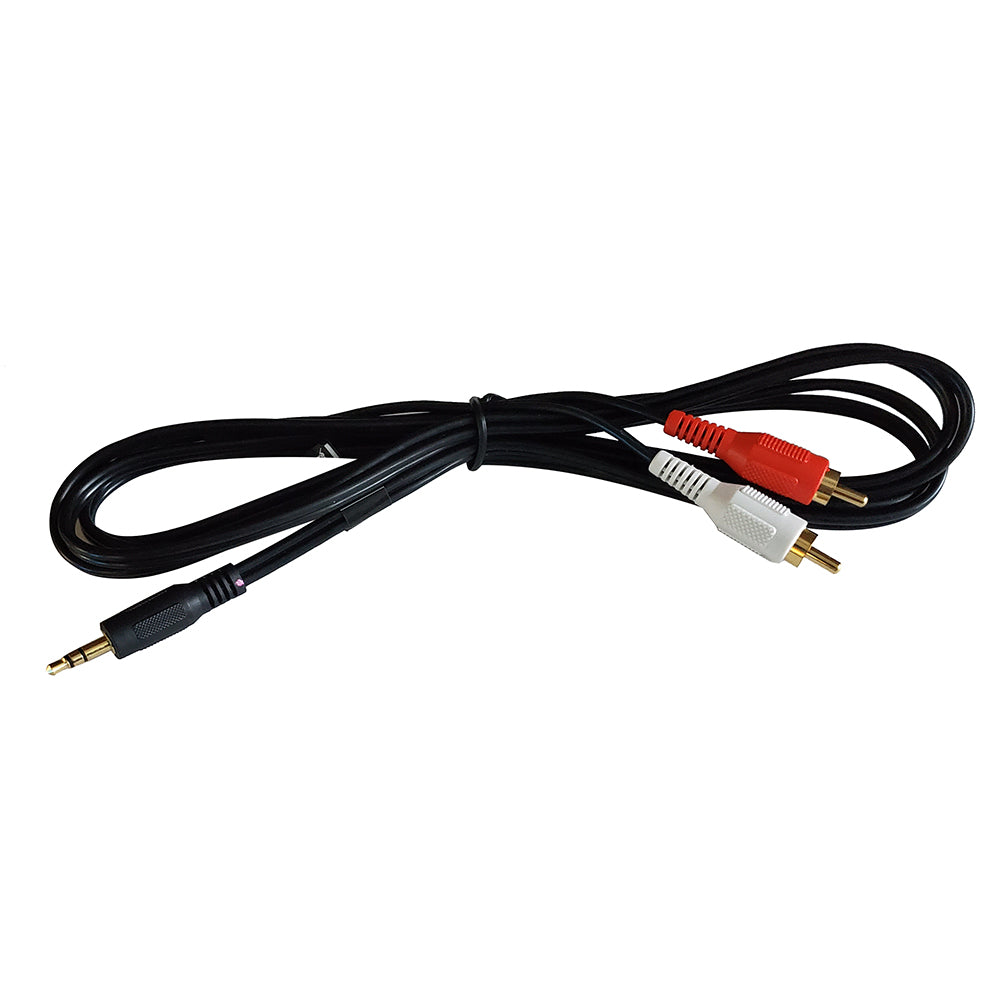 Câble d'entrée Fusion MS-CBRCA3.5 - 1 mâle (3,5 mm) vers 2 mâles RCA