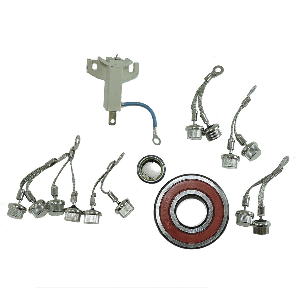 Kit de réparation Balmar Offshore série 94 12/24 V comprenant roulements, balais et diode positive/négative