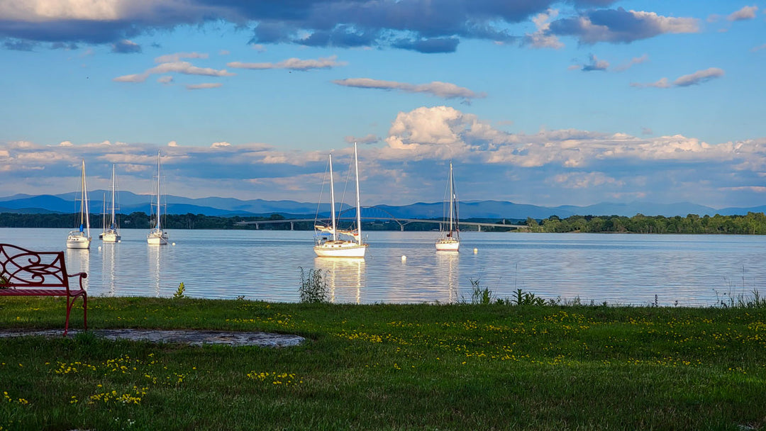 A Summer of Fresh Food and Fun: The Port Henry Waterfront Farmers Market at Bridgeview Harbour Marina