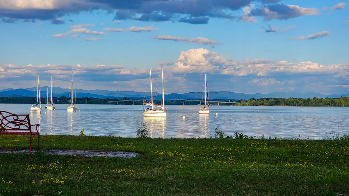 A Summer of Fresh Food and Fun: The Port Henry Waterfront Farmers Market at Bridgeview Harbour Marina
