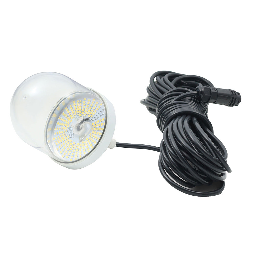 Hydro Glow 200W LED underwater dock light in daylight white with 5000K color temperature, designed for underwater illumination.