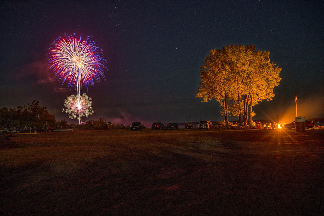 A photo of red, purple, and white fireworks in the sky and trees lit by a bonfire 