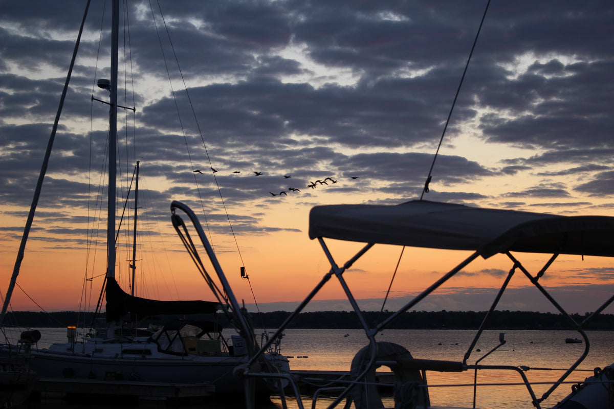 a view of birds flying away over boats during a sunset