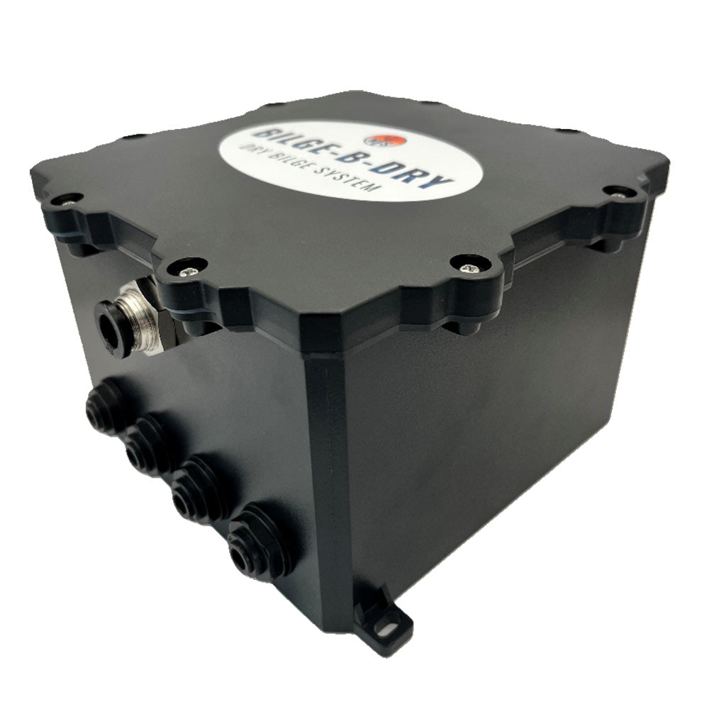 BILGE-B-DRY Quad Pump 12VDC bilge pump showing four outlets and compact design for marine bilge water removal.