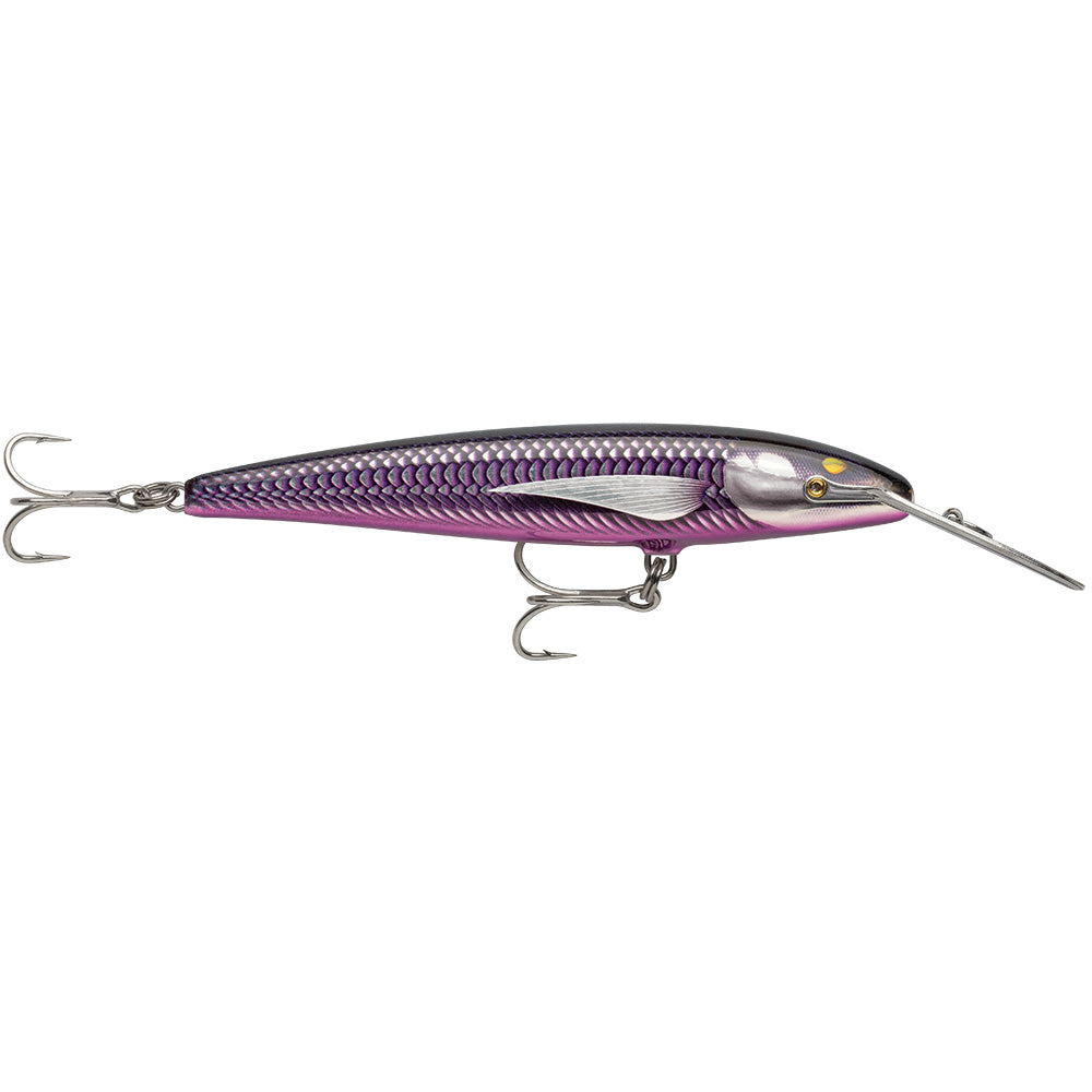 Rapala CountDown Magnum Elite 145 hard and soft bait in armored purple mackerel color, 5-3/4 inch fishing lure.