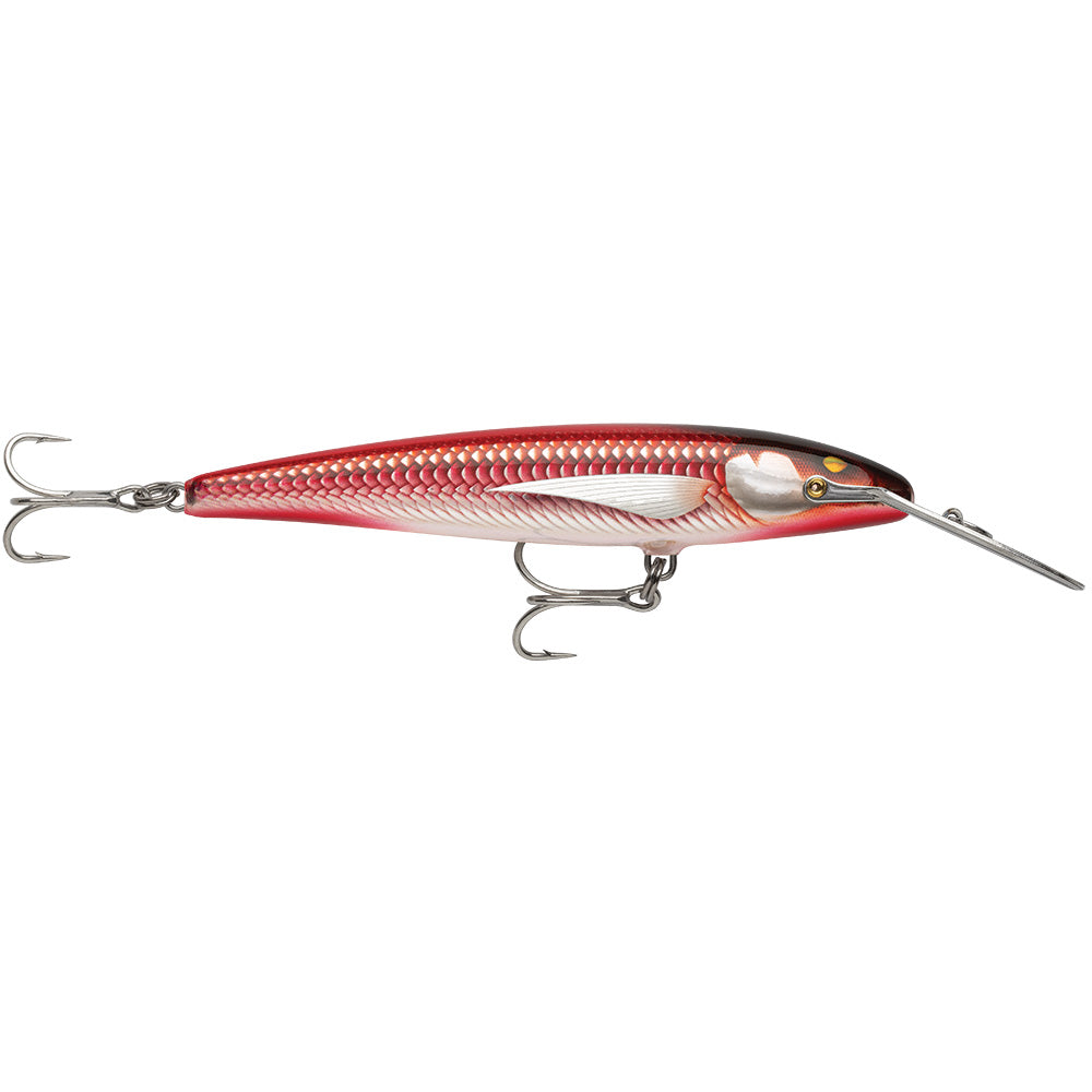 Rapala CountDown Magnum Elite 145 hard bait with armored real red color, 5-3/4 inches, designed for fishing success.