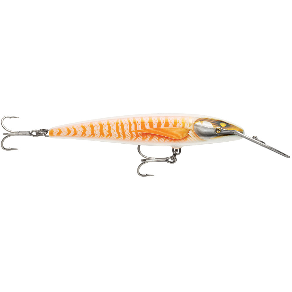Rapala CountDown Magnum Elite 185 hard bait in armored pearl orange, designed for fishing, featuring a 7-inch size and durable construction.