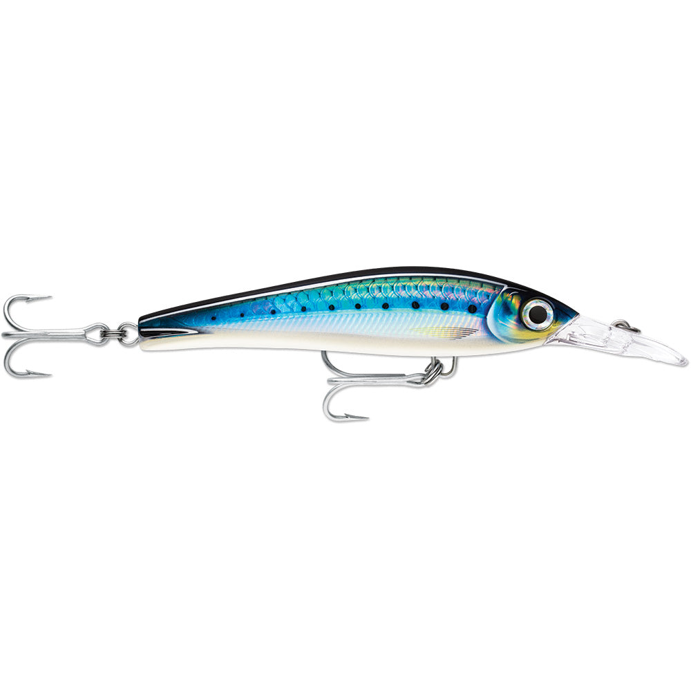 Rapala X-Rap Magnum Xtreme 6-1/4" HD Sardine bleue