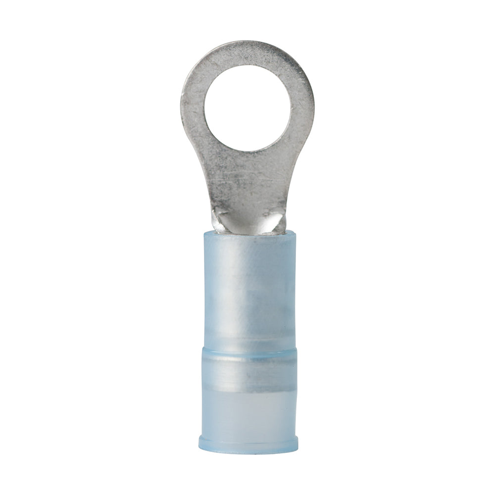 Ancor 16-14 AWG nylon ring terminal in a 100-pack, used for secure electrical connections and wiring projects.
