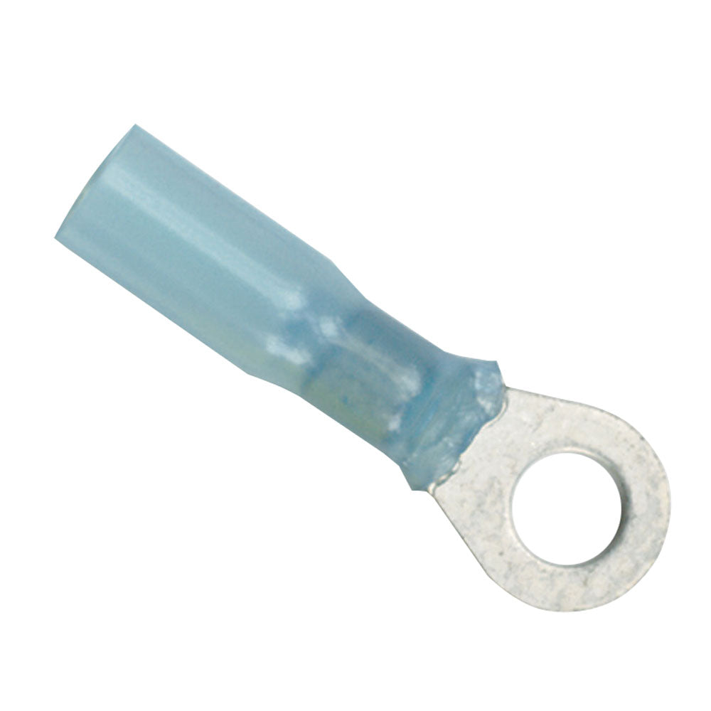 Ancor 16-14 gauge heat shrink ring terminal in a 25-pack, showing metal ring with clear heat shrink tubing and crimped connection