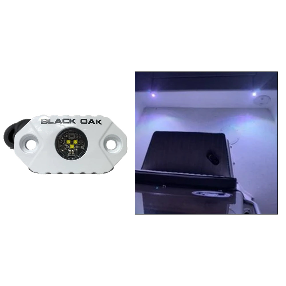 Black Oak LED interior courtesy light with white LEDs and white housing, designed as a rock accent light for interior decor.
