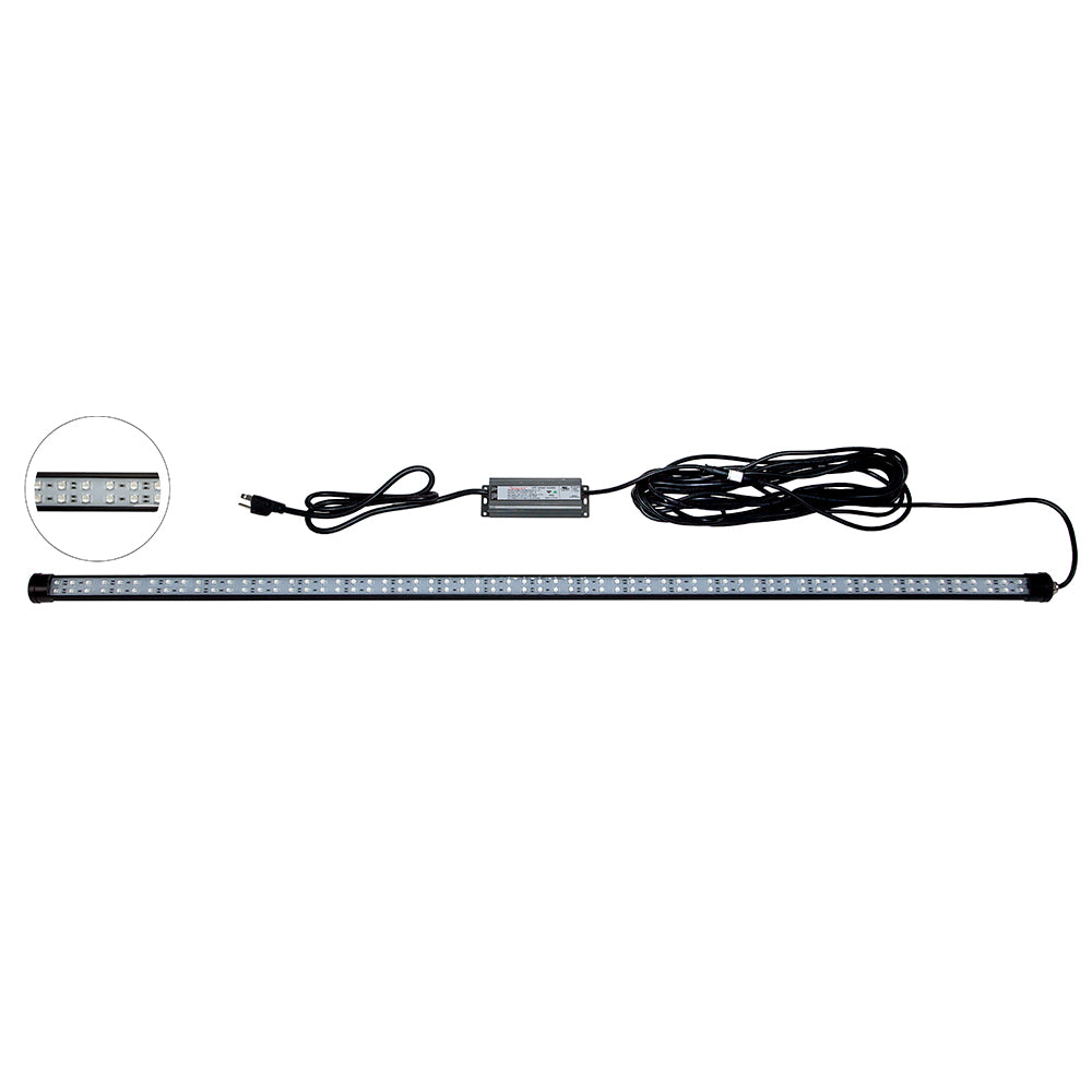 Hydro Glow DM260G 40W dock-mounted underwater fishing light in green, designed for marine illumination and underwater visibility