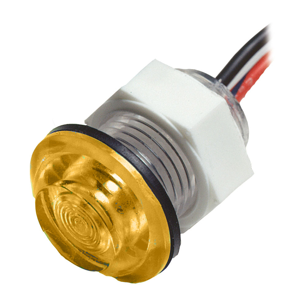 Innovative Lighting LED bulkhead livewell light in amber, flush mount interior courtesy light, ideal for marine or boat use