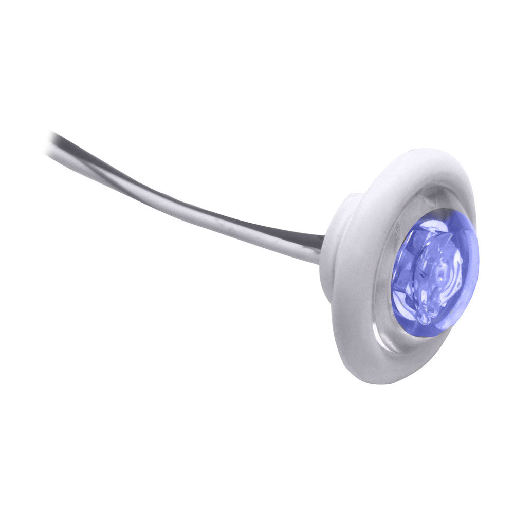 Innovative Lighting Blue LED bulkhead courtesy light with white grommet, designed for interior or livewell lighting.