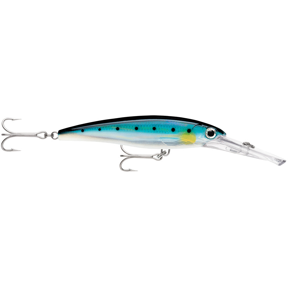 Rapala X-Rap Magnum 15 Sardine Bleue