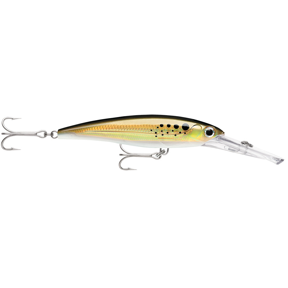 Rapala X-Rap Magnum 30 Bunker hard and soft fishing bait, designed for saltwater fishing, with realistic baitfish appearance.