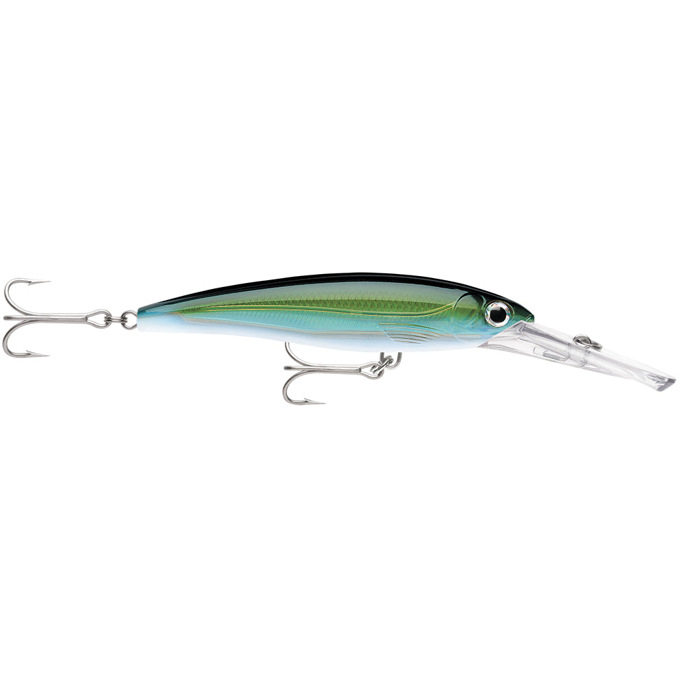 Rapala X-Rap Magnum 30 Yellowfin Tuna hard and soft fishing bait, yellowfin tuna lure with realistic details.